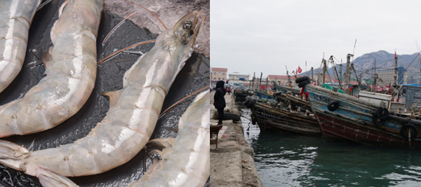 建造一個(gè)海鮮冷庫(kù)多少錢？